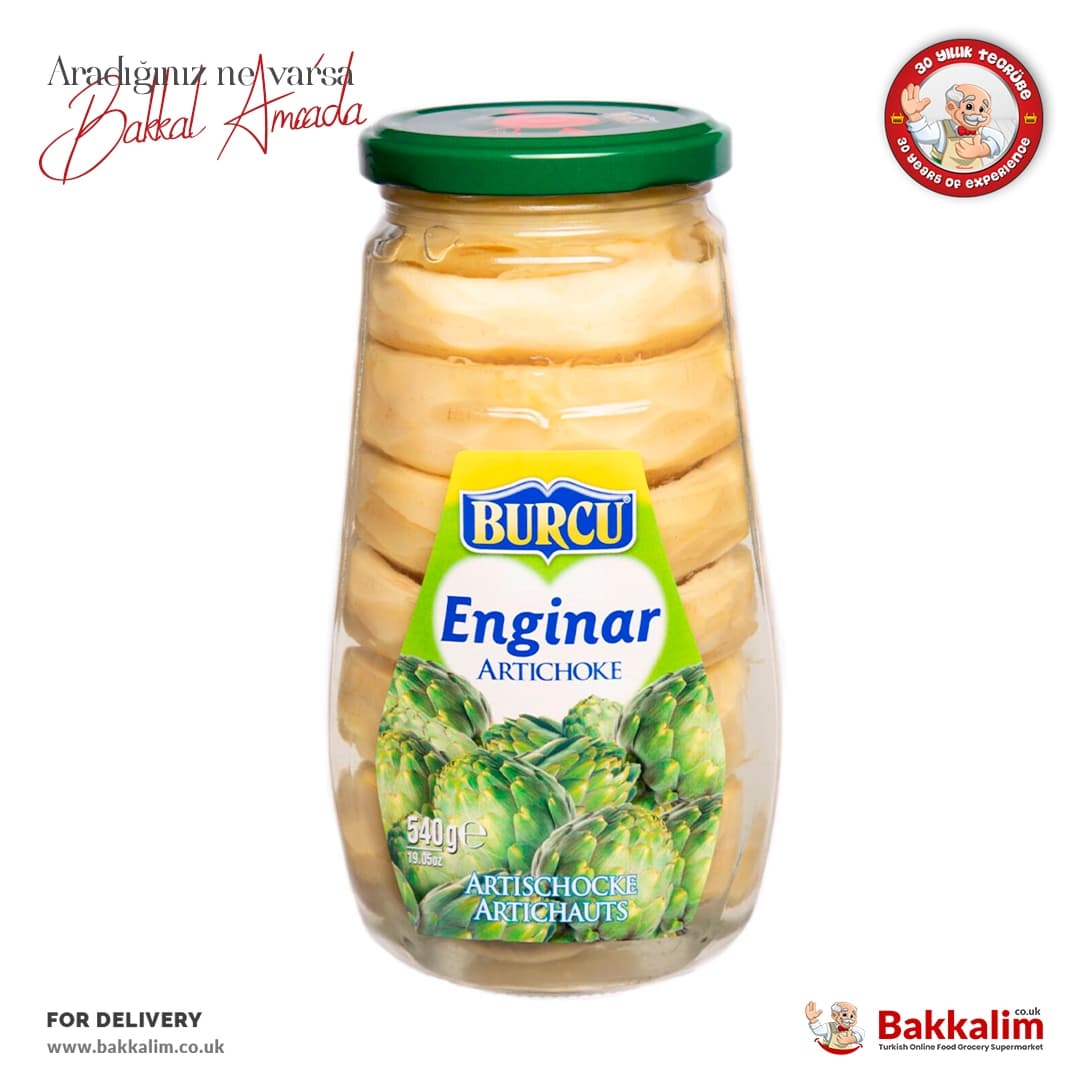 Burcu 540g Artichoke
