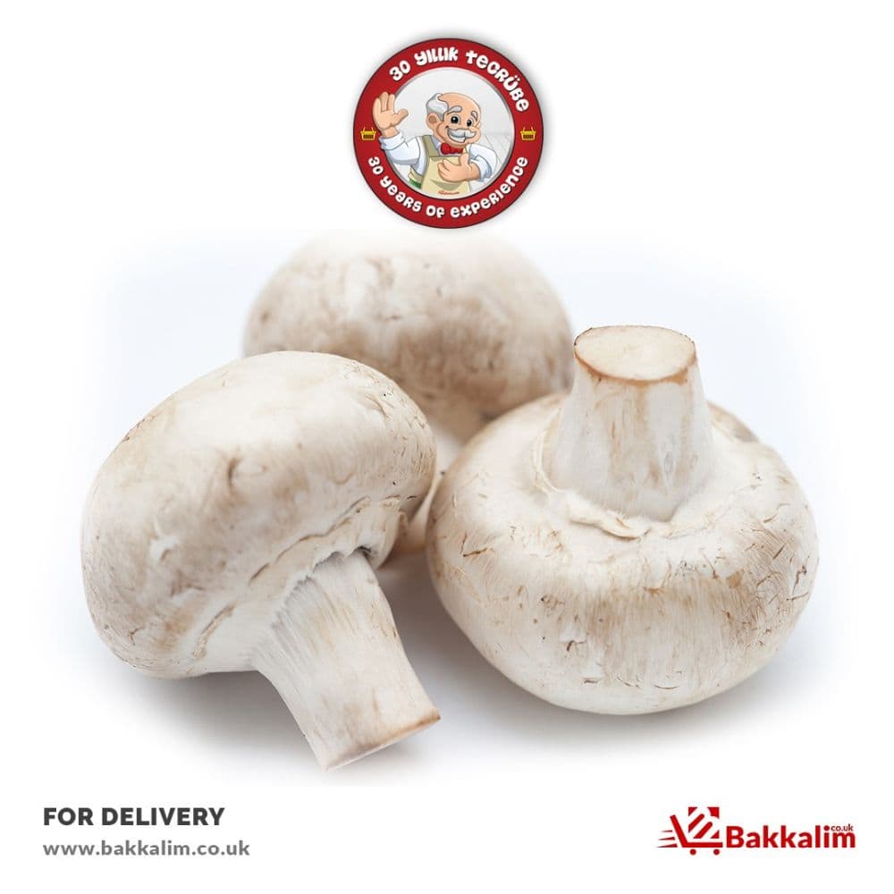 Fresh 500gr Mushroom