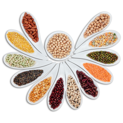 Dried Legumes